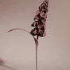 Polène Blume Orki< Blumen Aus Leder