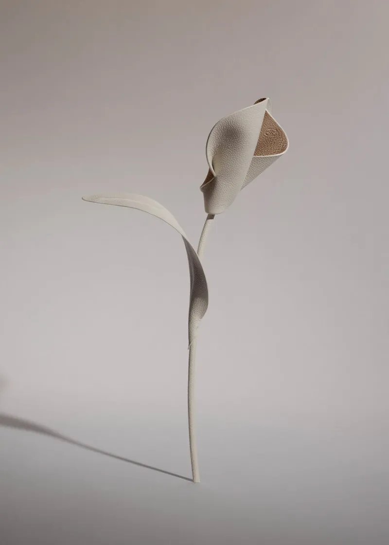 Polène Blume Pili< Blumen Aus Leder