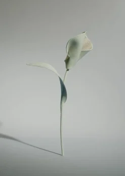 Polène Blume Pili< Blumen Aus Leder