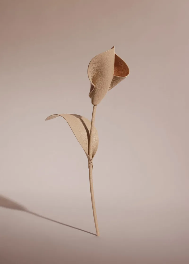 Polène Blume Pili< Blumen Aus Leder