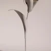Polène Blume Pili< Blumen Aus Leder