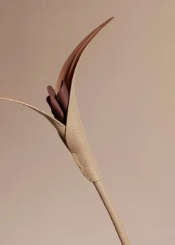 Polène Blume Touka< Blumen Aus Leder