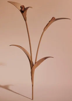 Polène Blume Touka< Blumen Aus Leder