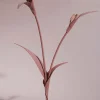 Polène Blume Touka< Blumen Aus Leder