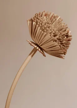 Polène Blume Tul< Blumen Aus Leder