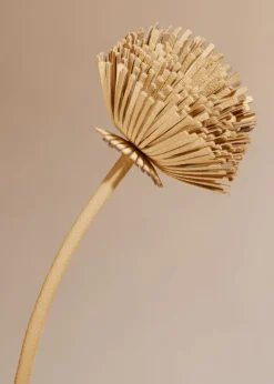 Polène Blume Tul< Blumen Aus Leder