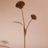 Polène Blume Tul< Blumen Aus Leder